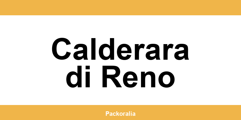 Numero di telefono del centro UPS a Calderara di Reno